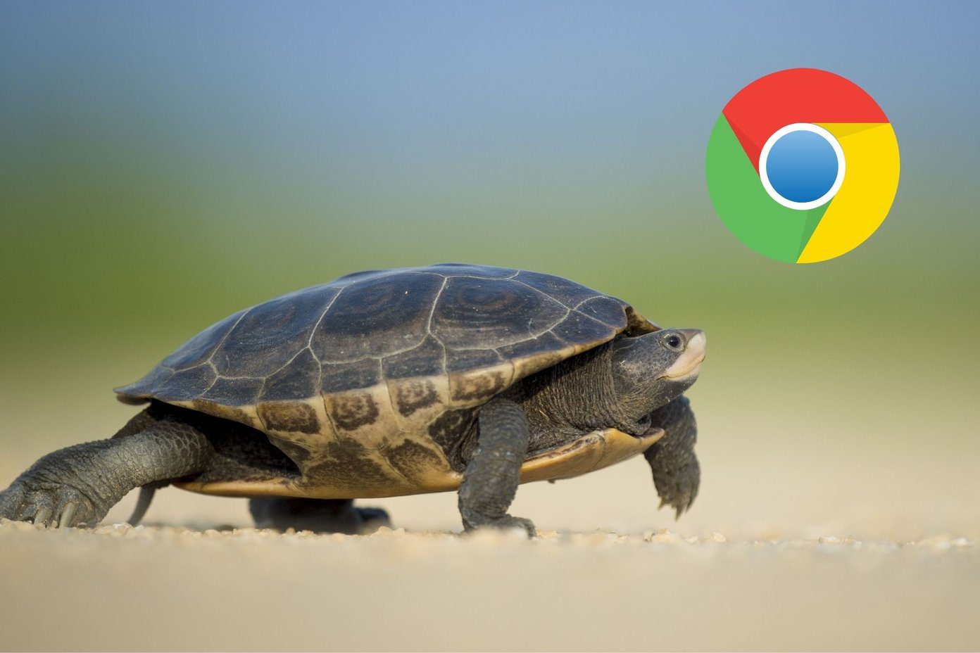 修复 Google Chrome 陷入等待下载问题的 9 种方法