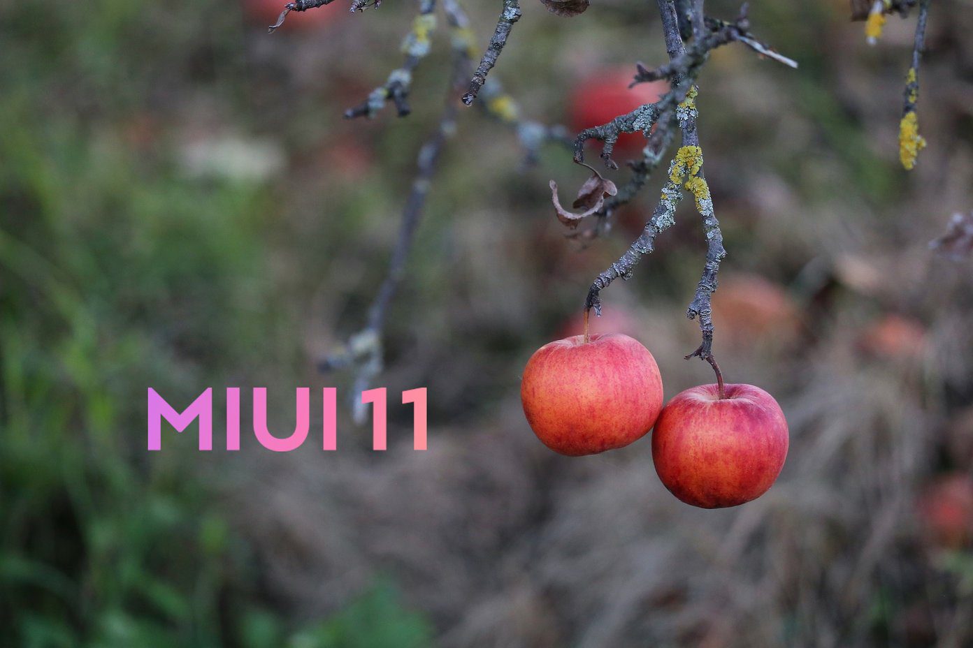 解决鼠标滚轮向下滚动时向上滚动问题的 7 种最佳方法