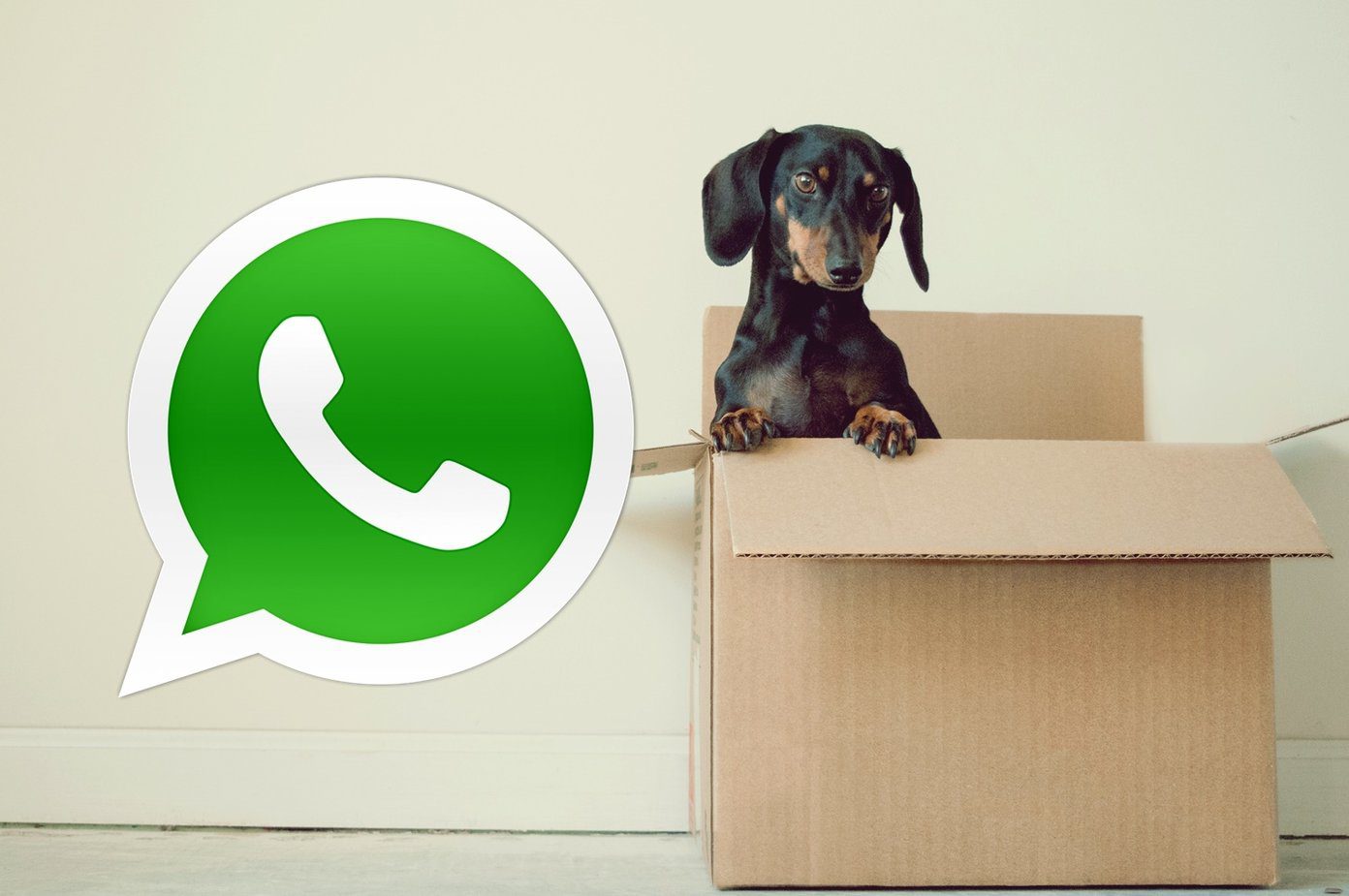 卸载 Facebook 和 Messenger 后会发生什么？