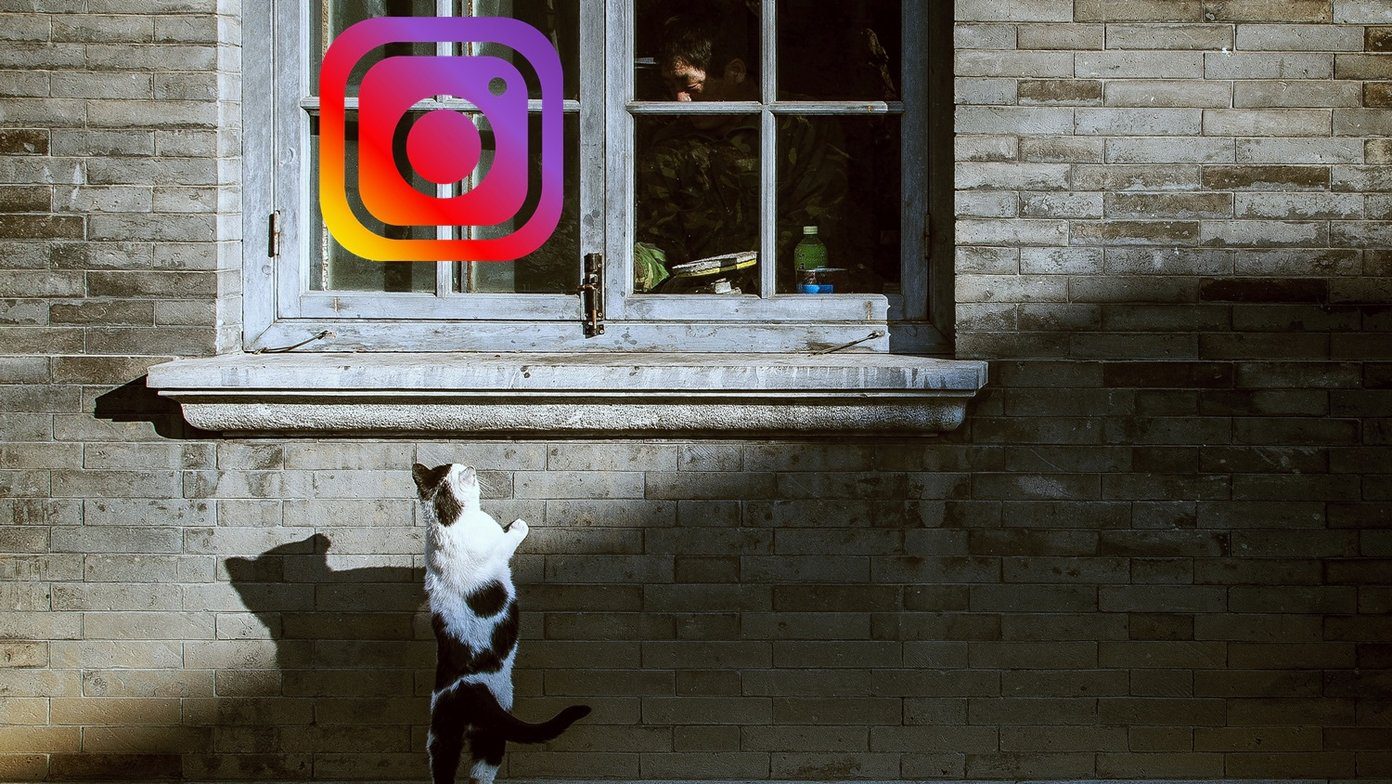 当您在 Instagram 上取消关注某人时会发生什么？