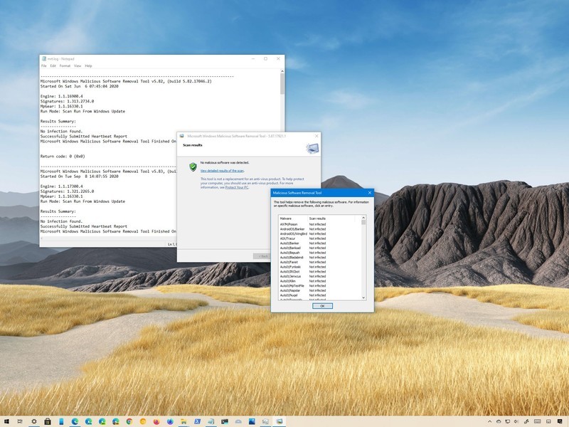 如何使用恶意软件删除工具清理 Windows 10 设置