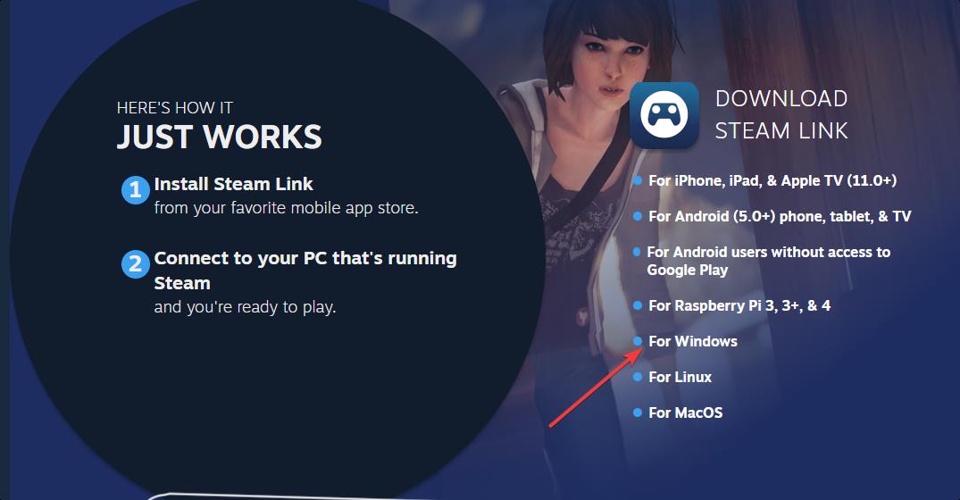 在Steam链接中恢复声音的7种方法