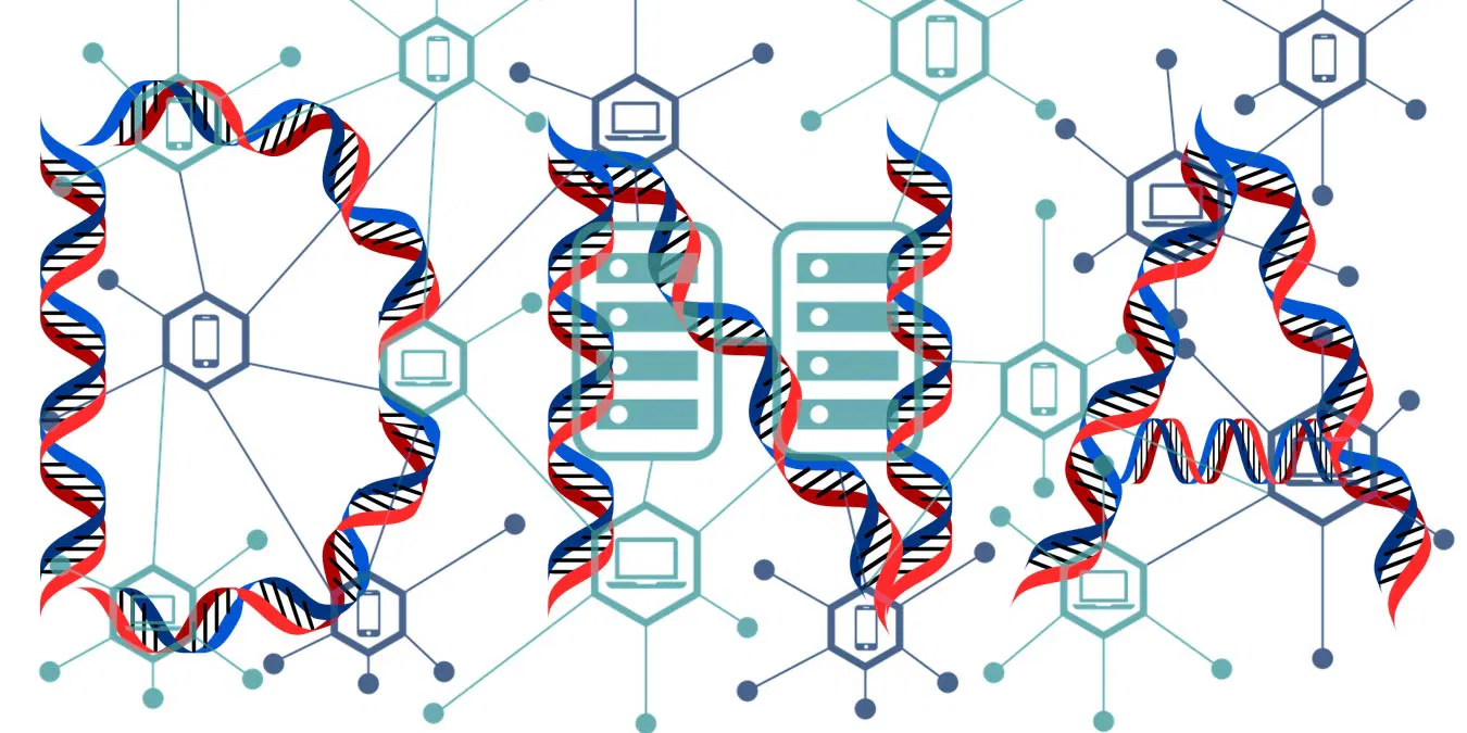 DNA 检测公司保护您的数据隐私